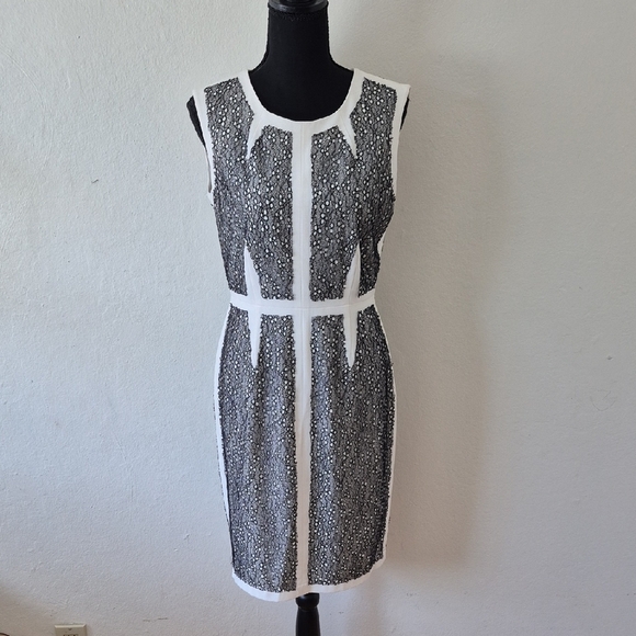 Bcbg Maxazria Rumor Dress White Black Lace Blocked Sheath Dress Size 8 - Picture 5 of 17